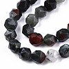 Natural African Bloodstone Beads Strands G-S368-008C-3