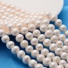 Natural Cultured Freshwater Pearl Beads Strands X-A02S6017-1