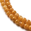 Natural Freshwater Shell Beads Strands SHEL-H003-03E-3
