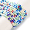 Handmade Czech Lampwork Beads Strands LAMP-L078-008M-1