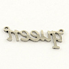 Fashionable Stainless Steel Word Charms X-STAS-R059-42-2