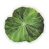 50Pcs PVC Self-Adhesive Leaf Stickers AJEW-R002-04A-4