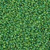 12/0 Grade A Rainbow Lawn Green Transparent Glass Seed Beads for Jewelry Making X-SEED-Q010-F549-2