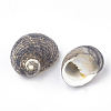 Spiral Shell Beads SSHEL-R036-33-2