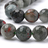 Natural African Bloodstone Beads Strands G-Q462-95-10mm-3