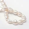 Oval Natural Cultured Freshwater Pearl Beads Strands PEAR-R015-29-2