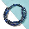 Natural Lapis Lazuli Beads Strands G-G085-A02-01-2