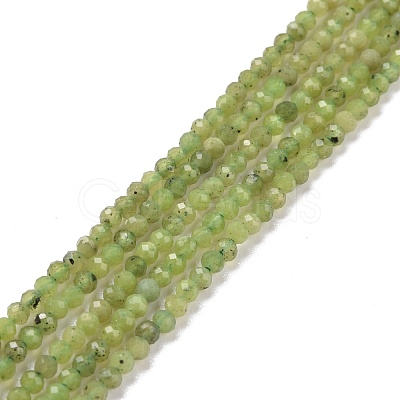 Natural Olive Jade Beads Strands G-D463-13A-1