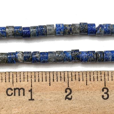 Natural Lapis Lazuli Beads Strands G-C084-D12-02-1