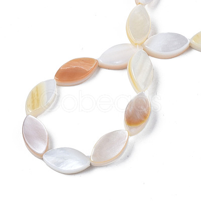 Natural Freshwater Shell Beads Strands SHEL-Q024A-017-1