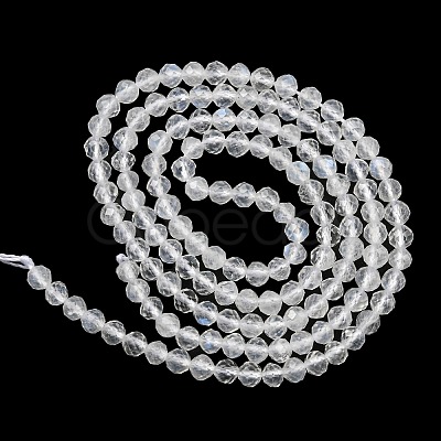 Natural Rainbow Moonstone Beads Strands G-G0005-C02-1