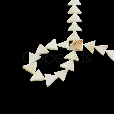 Triangle Natural Sea Shell Beads Strands SSHEL-F290-11-1