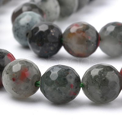 Natural African Bloodstone Beads Strands G-Q462-95-10mm-1