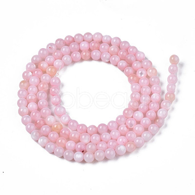 Natural Freshwater Shell Beads Strands X-BSHE-T009A-01C-1