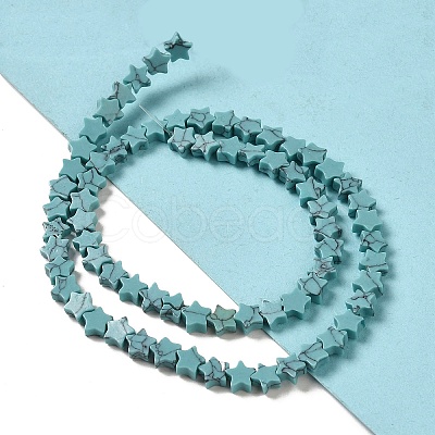 Dyed Synthetic Turquoise Beads Strands G-G085-B32-02-1