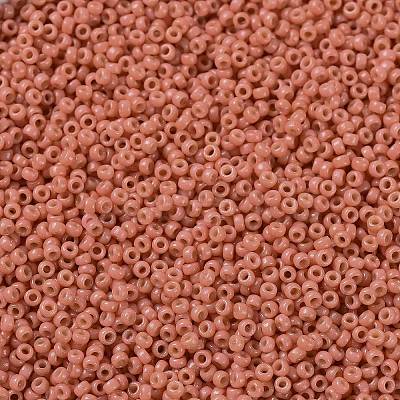 MIYUKI Round Rocailles Beads X-SEED-G009-RR4464-1