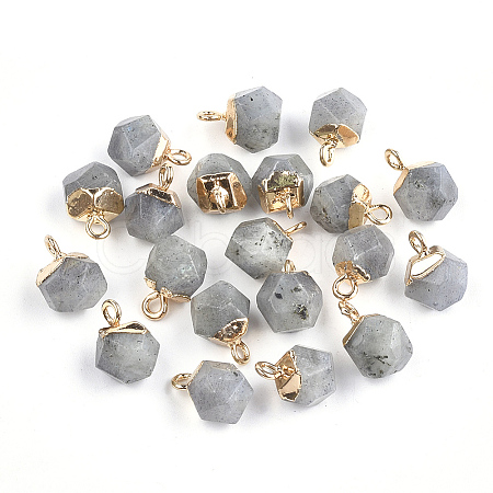 Electroplate Natural Labradorite Star Cut Round Charms G-S344-08E-1