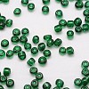 6/0 Glass Seed Beads SEED-J013-F6-17-3