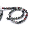 Natural African Bloodstone Beads Strands X-G-R345-8mm-50-2