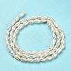 Natural Cultured Freshwater Pearl Beads Strands PEAR-E016-123-3