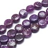 Natural Lepidolite/Purple Mica Stone Beads Strands G-F626-04-1