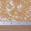 MIYUKI Delica Beads Small SEED-JP0008-DBS0852-4