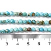 Natural Howlite Beads Strands G-C025-02C-06-5