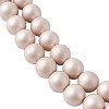 Shell Pearl Beads BSHE-TA0002-04B-8mm-3