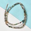 Natural Indian Agate Beads Strands G-B064-A29-2
