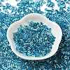 Baking Paint Glass Round Bugle Beads SEED-Z002-A-E03-2