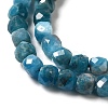 Natural Apatite Beads Strands G-E560-A07-4mm-A-3