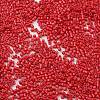Baking Paint Glass Seed Beads X-SEED-S042-05B-91-3