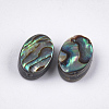 Abalone Shell/Paua Shell Beads SSHEL-T008-07-2