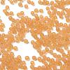 8/0 Frosted Round Glass Seed Beads X-SEED-A008-3mm-M2-2