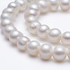 Natural Cultured Freshwater Pearl Beads Strands A23WZ011-4