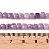 Natural Lepidolite/Purple Mica Stone Beads Strands G-N342-139-5