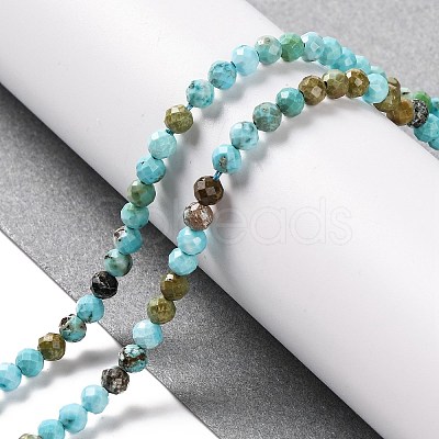 Natural Howlite Beads Strands G-C025-02B-06-1