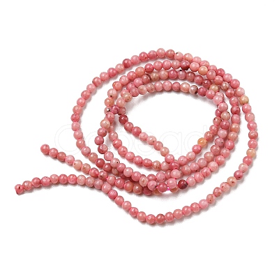 Natural Rhodonite Beads Strands G-G0005-B01-1