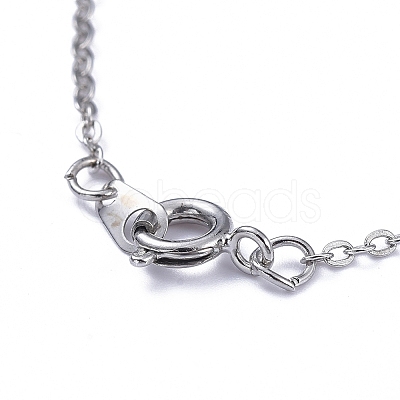 Pendant Necklace NJEW-JN02822-01-1