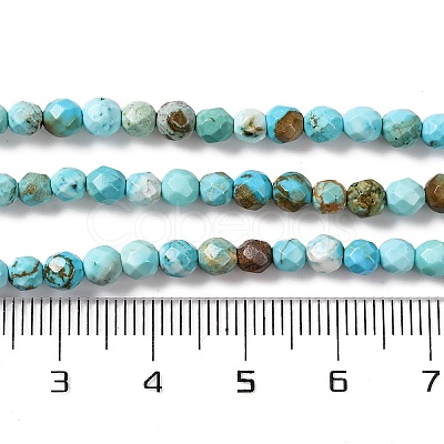 Natural Howlite Beads Strands G-C025-02C-06-1