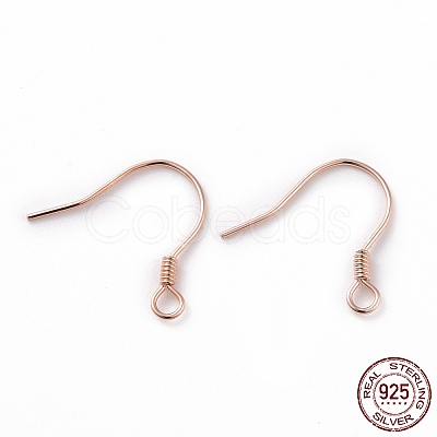 925 Sterling Silver Earring Hooks STER-D035-22RG-1