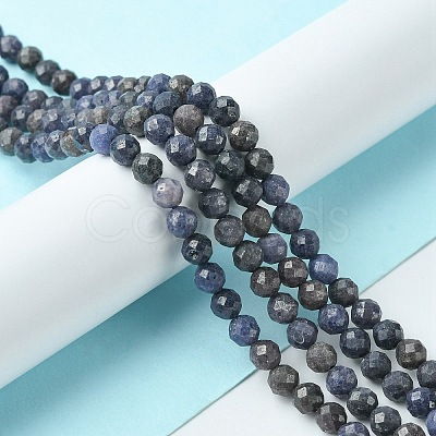 Natural Sapphire Beads Strands G-F748-M01-04-1