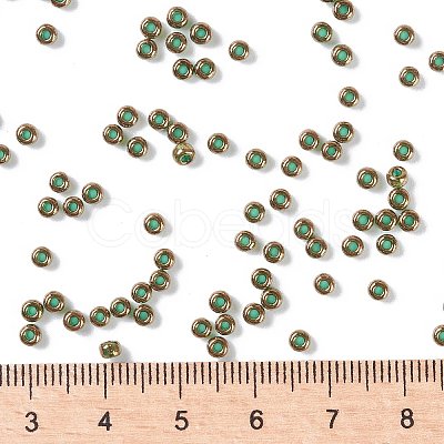 MIYUKI Round Rocailles Beads X-SEED-G008-RR0307-1