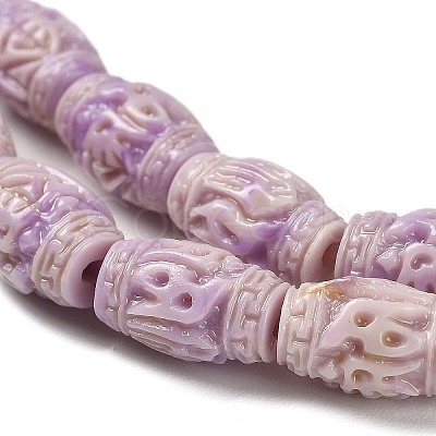 Synthetic Shell Dyed Carved Beads Strands SHEL-D081-04A-1