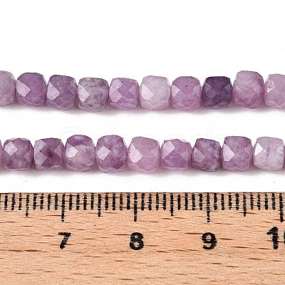 Natural Lepidolite/Purple Mica Stone Beads Strands G-N342-139-1