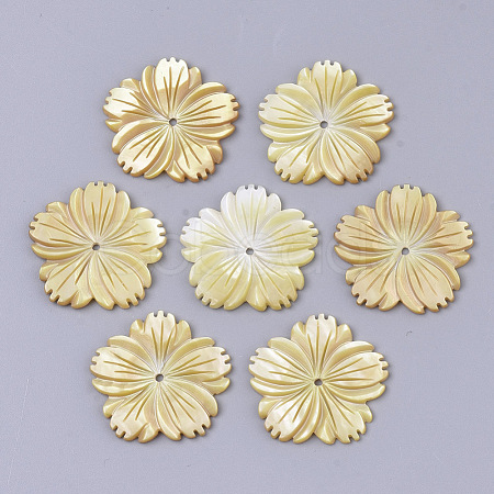 Natural Yellow Shell Beads SSHEL-T012-03-1
