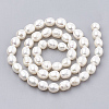 Natural Cultured Freshwater Pearl Beads Strands PEAR-S012-76C-2