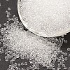 8/0 Glass Seed Beads X-SEED-J013-F8-01-1