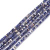 Natural Sodalite Beads Strands G-F631-A46-1
