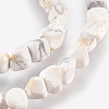 Natural Howlite Chips Beads Strands G365-34-3